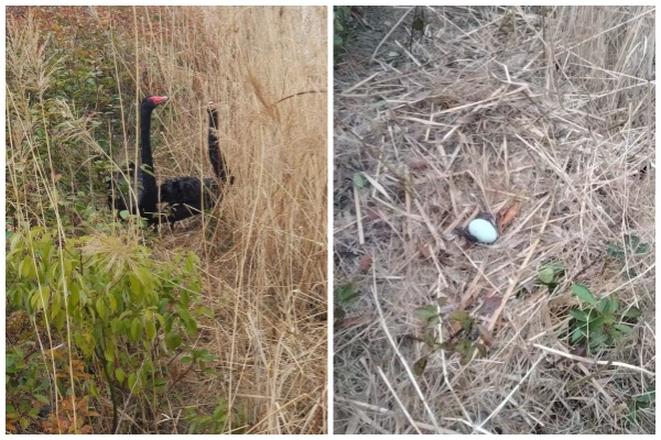 031110000.jpg 031110000.jpg